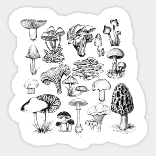 Mushroom Illustrations Sticker